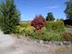 Thumbnail Detached house for sale in 2D Tinwald Downs Road, Dumfries