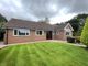 Thumbnail Detached bungalow for sale in Jerbourg Close, Newcastle-Under-Lyme