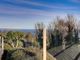 Thumbnail Lodge for sale in Ness Reach, Coast View Holiday Park, Torquay Road, Shaldon