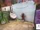Thumbnail Terraced house for sale in Millmount Road, Sheffield