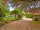 Thumbnail Detached house for sale in Tarn Road, Hindhead, Surrey