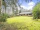 Thumbnail Bungalow for sale in Gasden Copse, Witley, Godalming