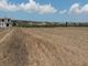 Thumbnail Land for sale in 4.1 Donum Karpaz Land, Famagusta
