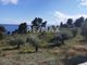 Thumbnail Land for sale in Marpounta, Sporades, Greece