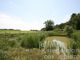 Thumbnail Farm for sale in Italy, Umbria, Perugia, Castiglione Del Lago