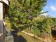 Thumbnail Property for sale in Langbury Lane, Ferring, Worthing, West Sussex