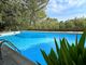 Thumbnail Villa for sale in Lorgues, Var Countryside (Fayence, Lorgues, Cotignac), Provence - Var