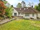 Thumbnail Bungalow for sale in St. Ives Park, Ashley Heath, Ringwood