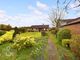 Thumbnail Detached bungalow for sale in School Lane, Hales, Norwich