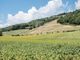 Thumbnail Villa for sale in Umbertide, Perugia, Umbria