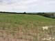 Thumbnail Land for sale in Ash Road, Braunton