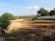 Thumbnail Land for sale in Portugal, Algarve, Boliqueime