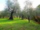 Thumbnail Property for sale in 51100 Pistoia, Province Of Pistoia, Italy