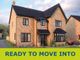 Thumbnail Detached house for sale in "The Birch" at Cotterstock Road, Oundle, Peterborough