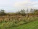 Thumbnail Land for sale in Dalscone Way, Dumfries