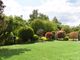 Thumbnail Detached house for sale in North Weirs, Brockenhurst