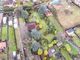 Thumbnail Land for sale in Holywell Lane, Castleford, West Yorkshire
