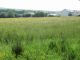 Thumbnail Land for sale in Station Road, Crymych