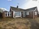 Thumbnail Detached bungalow to rent in Lanham Green Road, Cressing, Braintree