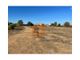 Thumbnail Land for sale in Luz De Tavira E Santo Estêvão, Tavira, Faro