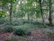 Thumbnail Land for sale in Land, Conford, Liphook