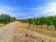 Thumbnail Farm for sale in Grosseto, Tuscany, Italy