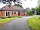 Thumbnail Bungalow for sale in Old Heath Road, Southminster, Essex