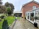 Thumbnail Detached house for sale in Squirrel Close, Bexhill On Sea