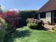 Thumbnail Detached bungalow for sale in Socotra Drive, Trewoon, St. Austell