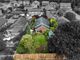 Thumbnail Detached house for sale in Valley Road, Pontefract, West Yorkshire