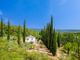 Thumbnail Villa for sale in Flayosc, Var Countryside (Fayence, Lorgues, Cotignac), Provence - Var