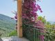 Thumbnail Town house for sale in Via Tanca 31, Lerici, La Spezia, Liguria, Italy