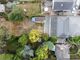 Thumbnail Detached bungalow for sale in Mersea Road, Langenhoe, Colchester