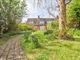 Thumbnail Semi-detached house for sale in Witchampton, Wimborne