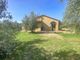 Thumbnail Cottage for sale in Via Delle Venelle, Casale Marittimo, Pisa, Tuscany, Italy