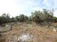 Thumbnail Land for sale in Antipaxos (Island), Antipaxos (Island), Greece