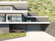 Thumbnail Property for sale in Luxury Villa In Douro Valley, Baião, Porto