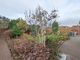 Thumbnail Detached bungalow for sale in The Beeches, Upton Upon Severn, Worcester