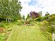Thumbnail Detached bungalow for sale in Main Road, Icklesham, Winchelsea