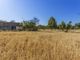 Thumbnail Land for sale in Spain, Mallorca, Campanet