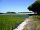 Thumbnail Farm for sale in L337, 4 Hectares Farm And House In Alentejo's Coast, Portugal, Portugal