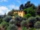 Thumbnail Country house for sale in Localita' Zuardo, Perinaldo, Imperia, Liguria, Italy