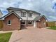 Thumbnail Semi-detached house for sale in Plot 75 The Alloway, Shearwater Grove, Lesmahagow