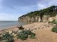 Thumbnail Detached house for sale in New Coastguard Cottages, Toot Rock, Pett Level, Hastings