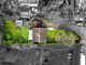 Thumbnail Detached house for sale in Colesfield, Longstanton