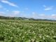 Thumbnail Farm for sale in North Bank Dykes, Errol, Perth