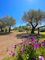 Thumbnail Villa for sale in San Teodoro, San Teodoro, Sardegna