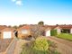 Thumbnail Detached bungalow for sale in Clementine Avenue, Seaford