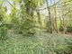 Thumbnail Property for sale in Brook Road, Buckhurst Hill