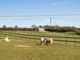 Thumbnail Farm for sale in Woodford, Bude
